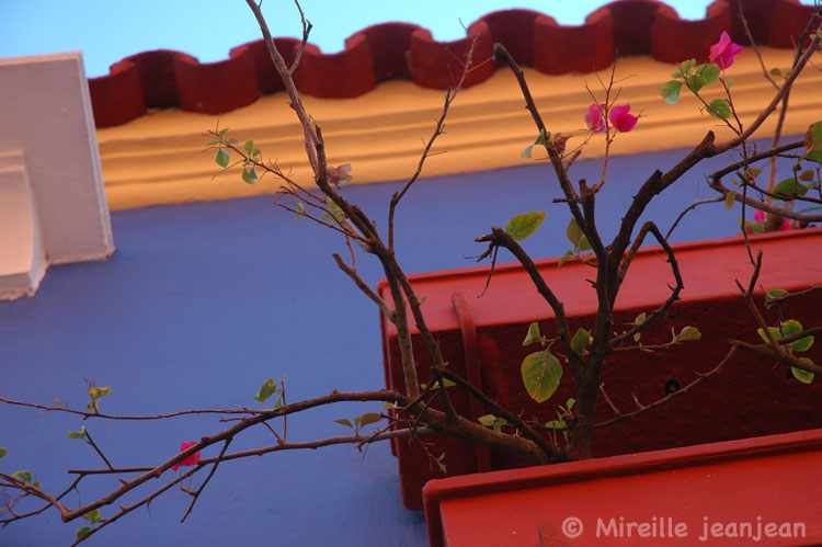 balcon3