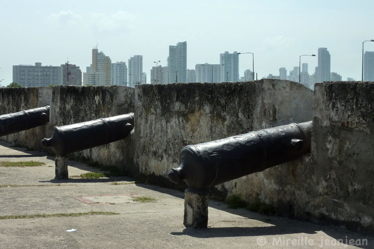 cartagene1