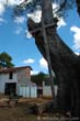 croix-guane