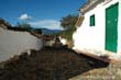 guane