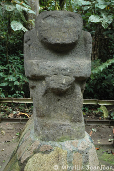 singe1