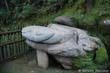grenouille