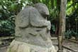 singe2