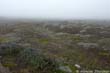 chimborazo6