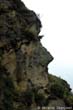 inca-profil3