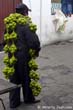 citrons