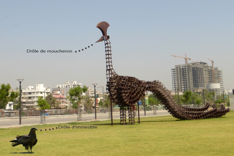 ahmedabad7