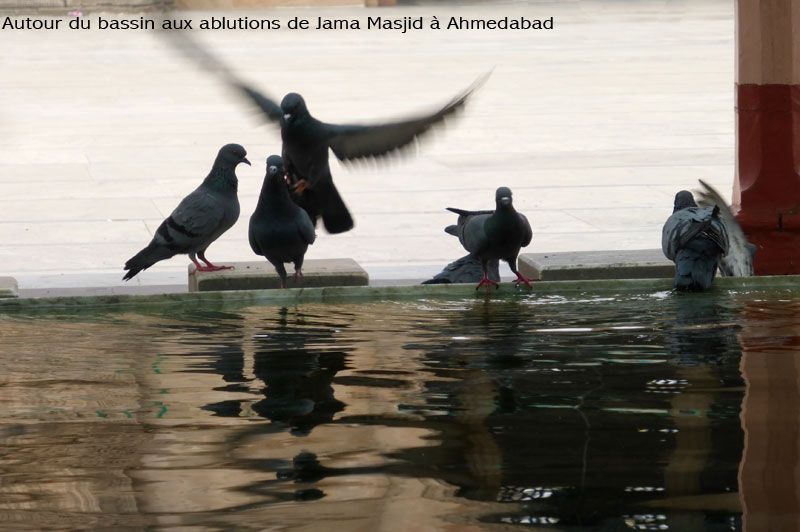 jama-masjid2