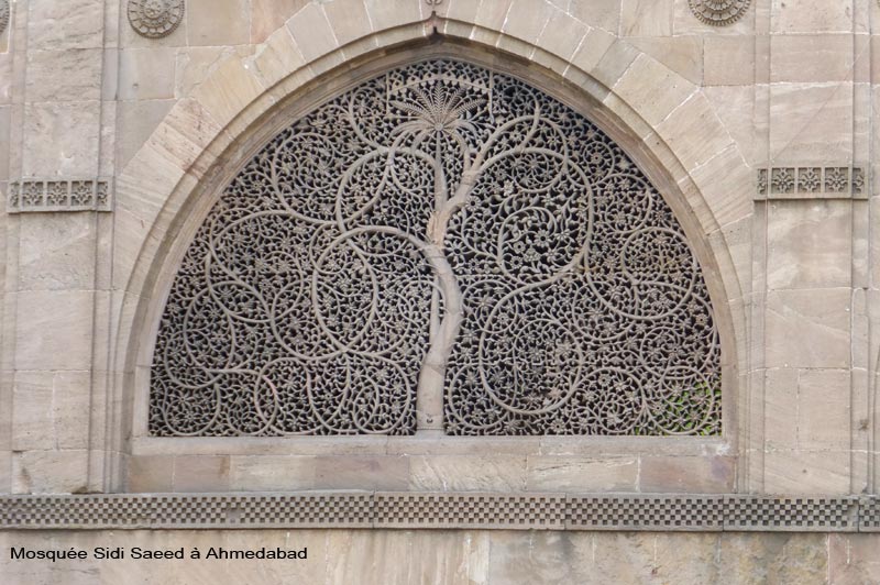 sidi-saeed2