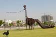 ahmedabad7