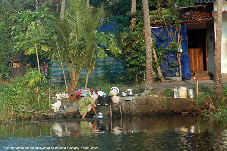 backwaters1d