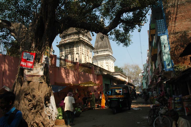 boghgaya-rue