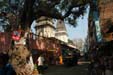 boghgaya-rue