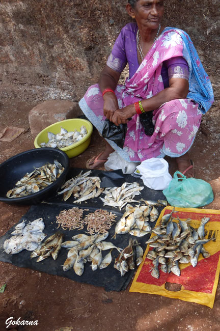 gokarna-vil6