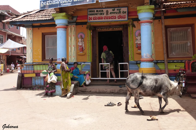 gokarna-vil8