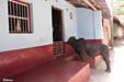 gokarna-vil7