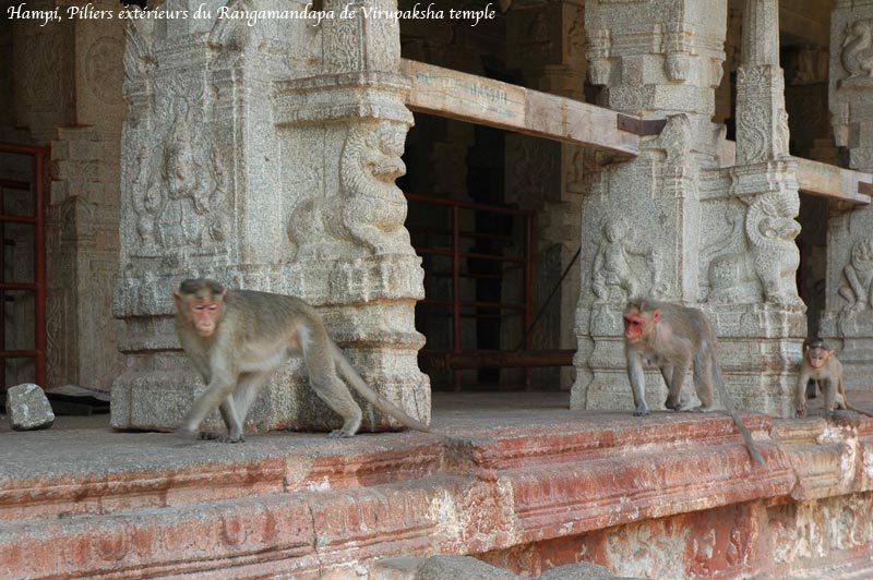virupaksha10