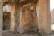 nandi