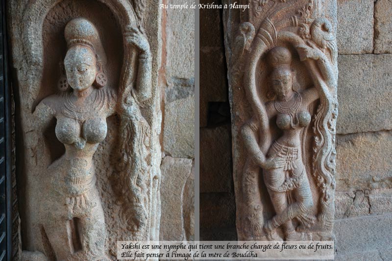 krishna-tpl2