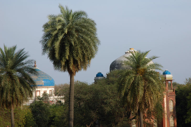 46nila-gumbad-tomb-barber