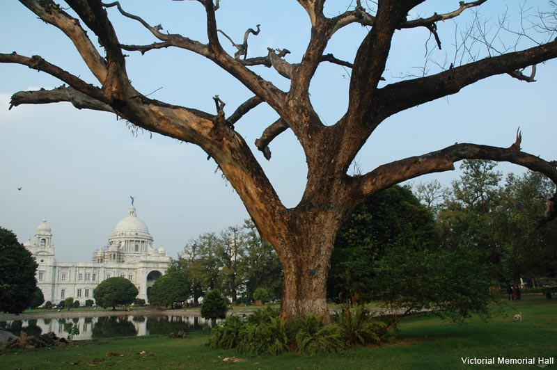 victoria-memorial3