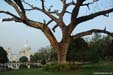 victoria-memorial3