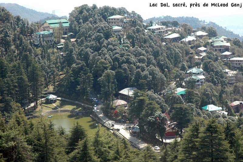 lac-dal-dsl