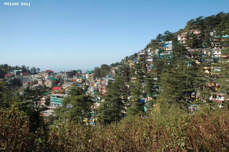 mcleod-ganj5