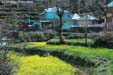 dharamkot