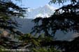 mcleod-ganj3