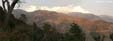 pano-dharamont