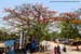 ooty-mysore3
