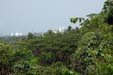 oldgoa0