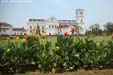 oldgoa4