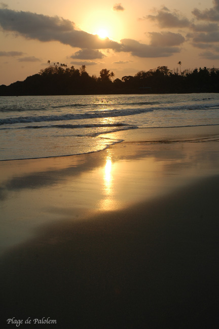 palolem8