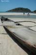 palolem3