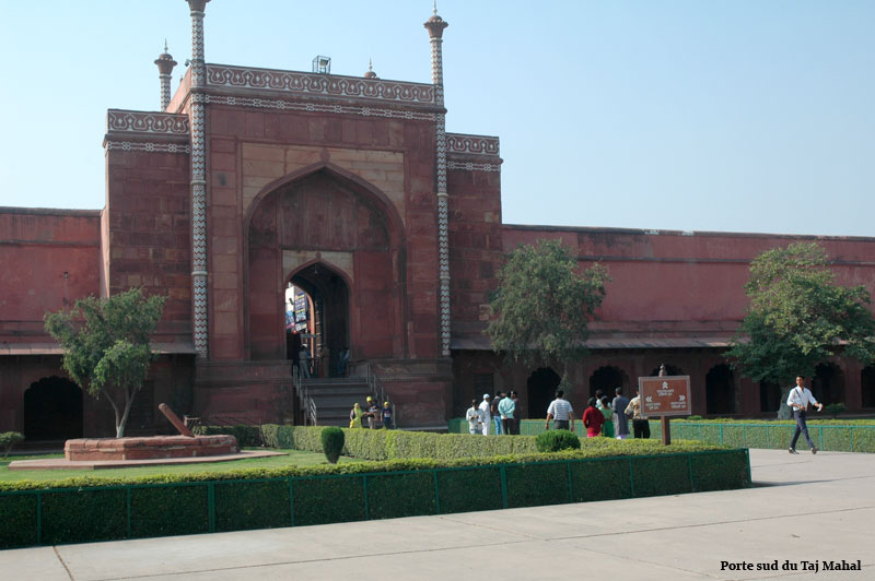 taj20