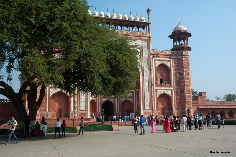 taj4