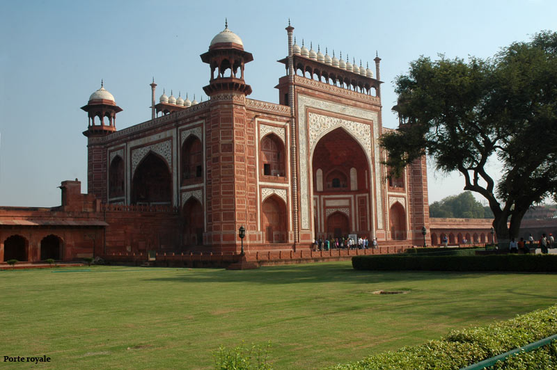 taj5