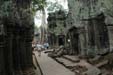 ta-prohm2