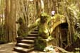 01sanctuaire-singes