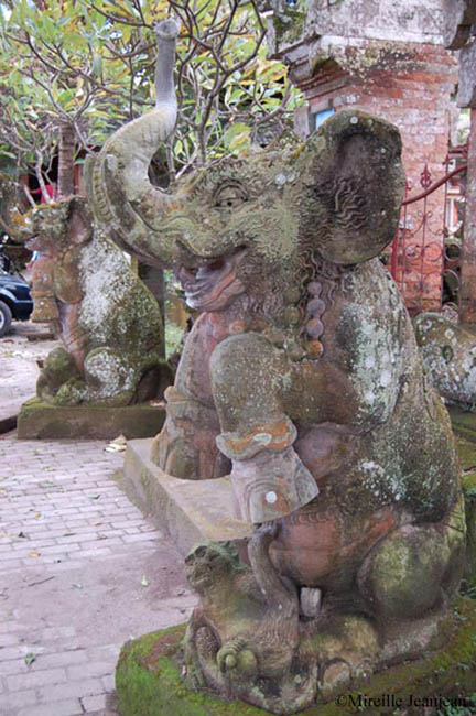 elephant