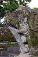 elephant-pj