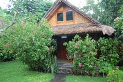 jardin à Lipah