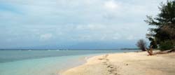 gili meno