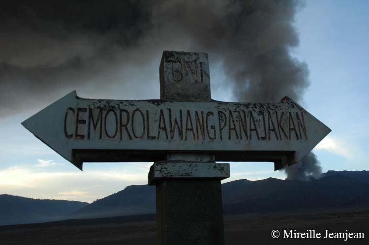 panneau