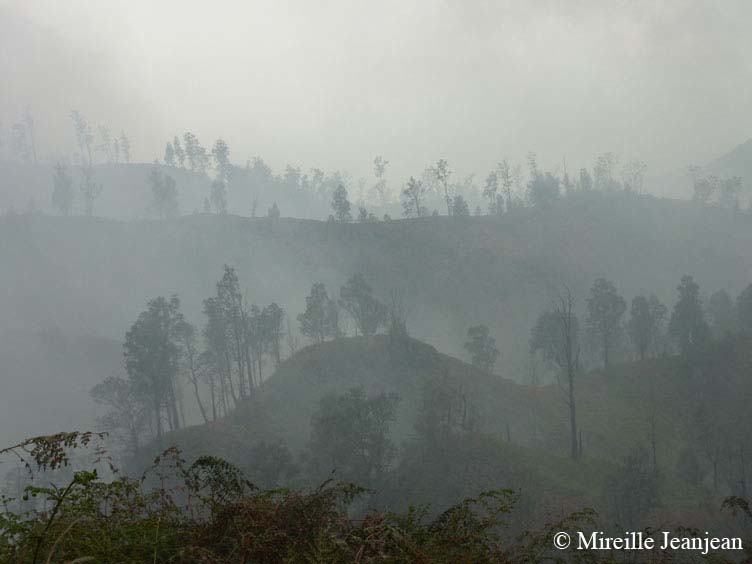ijen-3