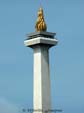 monas3