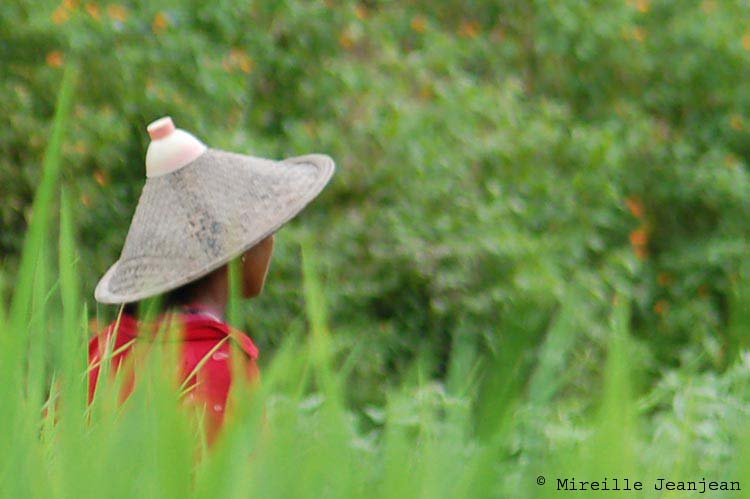 chapeau-gris