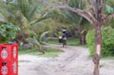 bintang